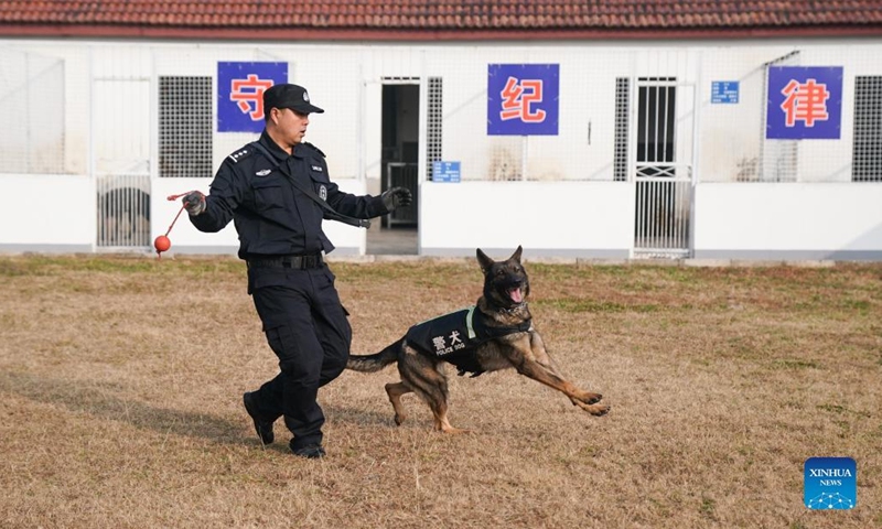 Police dog Anna gets trained by its instructor Liang Wenlong in Wuhan, capital of central China's Hubei Province, Jan. 12, 2022. Policemen of the Wuhan Railway Bureau started to train police dogs to ensure the safety of passengers during the upcoming Spring Festival travel rush. This year's Spring Festival falls on Feb. 1.(Photo: Xinhua)