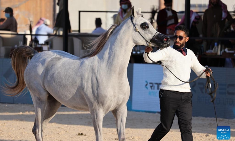 A horse is displayed at the Saudi Arabian Horses Festival in Riyadh, Saudi Arabia, on Jan. 13, 2022.Photo:Xinhua