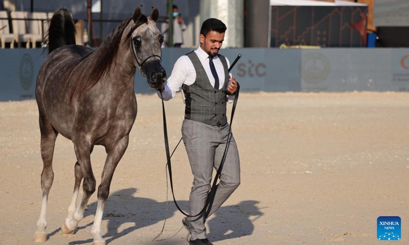 A horse is displayed at the Saudi Arabian Horses Festival in Riyadh, Saudi Arabia, on Jan. 13, 2022.Photo:Xinhua