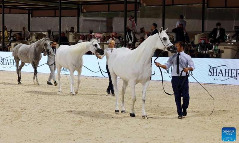 Horses are displayed at the Saudi Arabian Horses Festival in Riyadh, Saudi Arabia, on Jan. 13, 2022.Photo:Xinhua