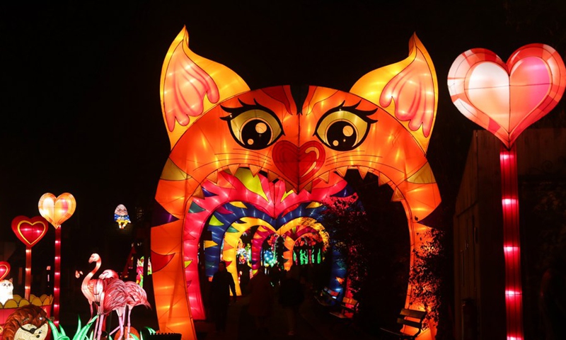 People view light installations during the sixth edition of China light festival themed Alice in Wonderland at the Antwerp Zoo in Antwerp, Belgium, Jan. 12, 2022.Photo:Xinhua