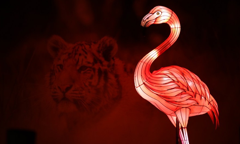 A light installation is pictured during the sixth edition of China light festival themed Alice in Wonderland at the Antwerp Zoo in Antwerp, Belgium, Jan. 12, 2022.Photo:Xinhua