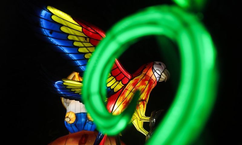 Light installations are pictured during the sixth edition of China light festival themed Alice in Wonderland at the Antwerp Zoo in Antwerp, Belgium, Jan. 12, 2022.Photo:Xinhua