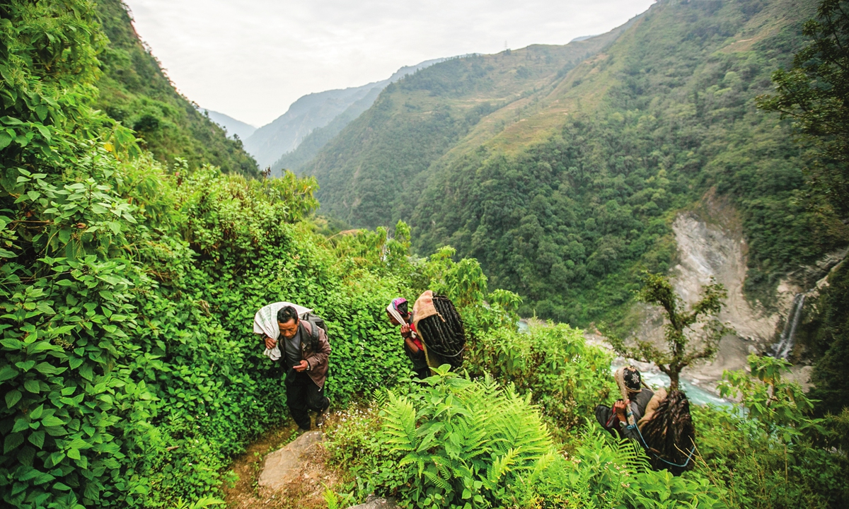 Honey hunters climb a hill carrying rope and other tools required for harvesting cliff honey in Dolakha, 115 kilometers east of Kathmandu, Nepal, on November 19, 2021. High up in the mountains, groups of men risk their lives to harvest wild honey from hives on cliffs.Photo: VCG