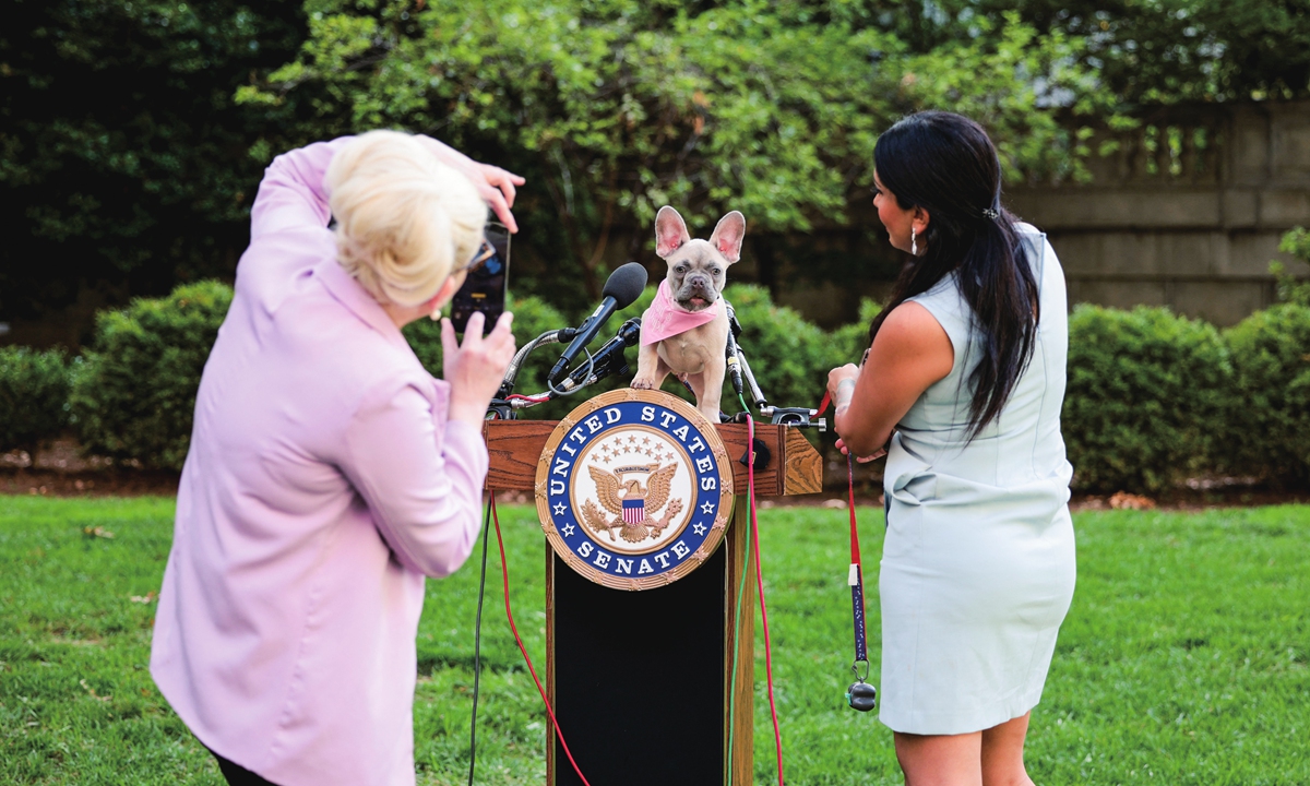 Staff members take photos of a puppy on a podium before a press conference by US Senator Rand Paul in Washington DC on October 7, 2021. Photo: AFP