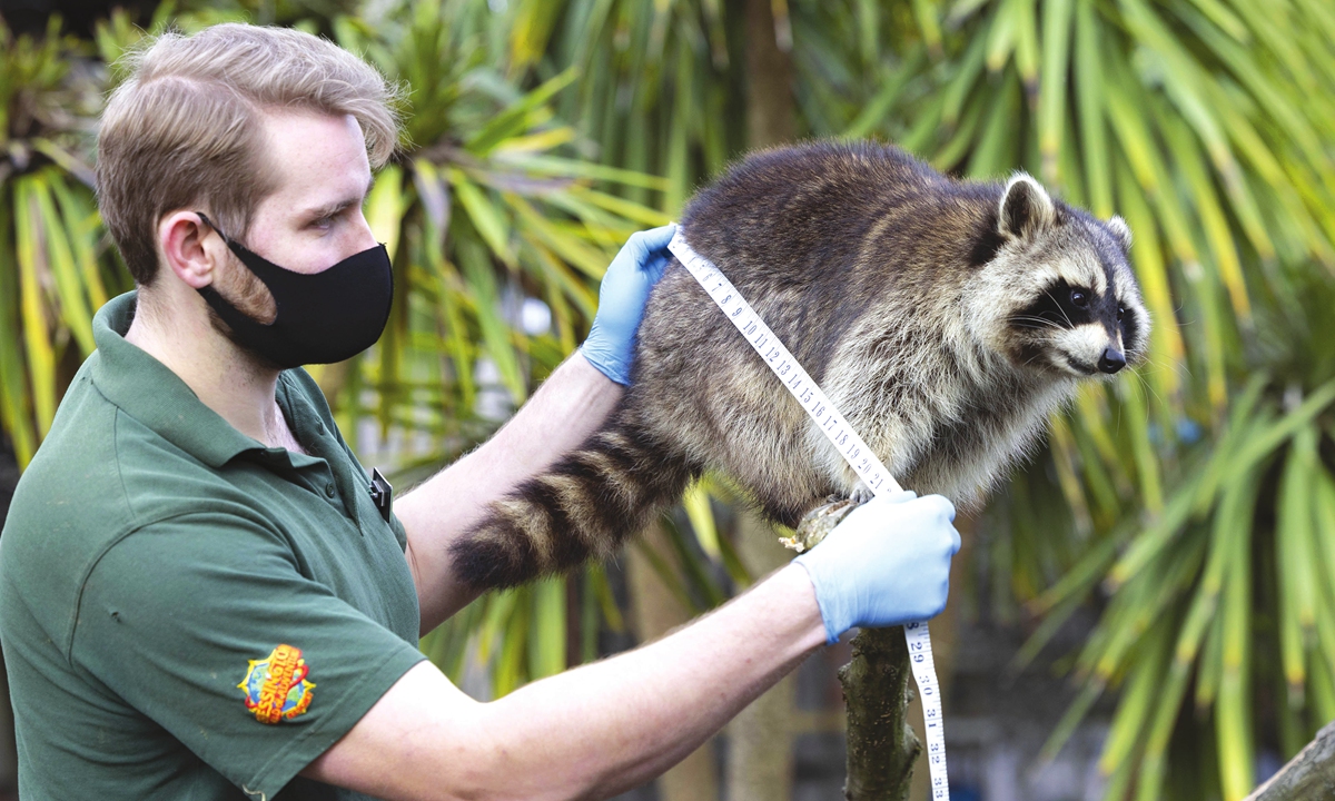 Fit as a fiddle Global Times