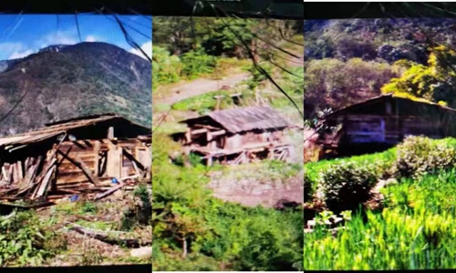 A man who lived in seclusion in Yarlung Zangbo Grand Canyon for six years cut down trees for cabin building,and reclaimed land to grow crops.Photo:from web