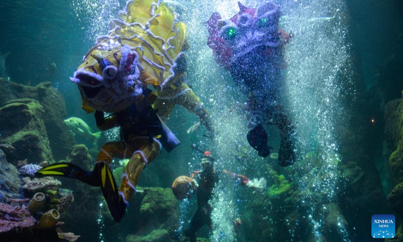 Divers perform lion dance under water in celebration of the upcoming Chinese Lunar New Year at Sea World Ancol in Jakarta, Indonesia, Jan. 24, 2022.(Photo: Xinhua)