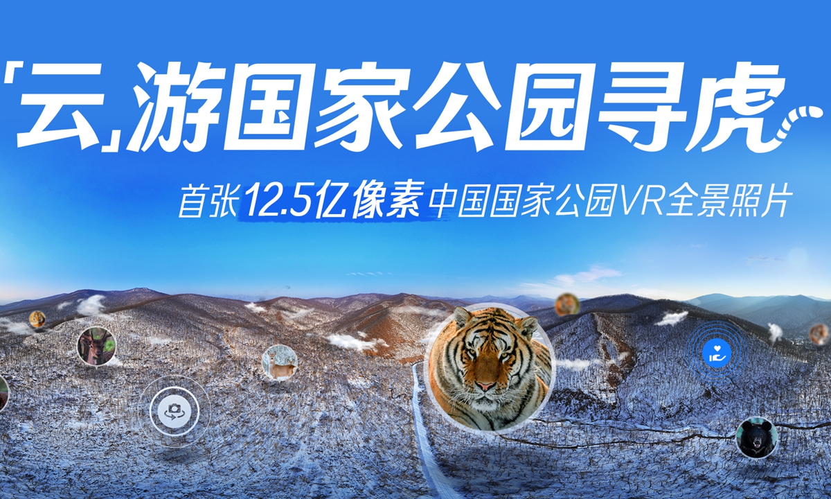 Siberian tiger and other animals in the Northeast China Tiger and Leopard National Park Photos: Courtesy of Tencent 