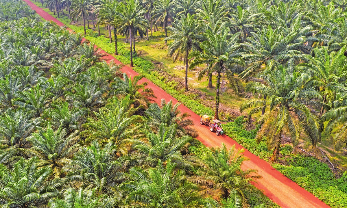 Malaysian island spearheads green palm oil revolution