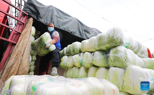 Traders unload radishes from a truck at Jiangqiao wholesale market in Shanghai on Feb. 2, 2022. Traders and staff members here are busy transporting vegetables from surrounding areas to ensure the supply of vegetables for local residents during the Spring Festival. (Xinhua/Fang Zhe)



