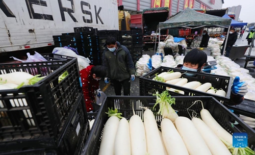 Traders unload radishes from a truck at Jiangqiao wholesale market in Shanghai on Feb. 2, 2022. Traders and staff members here are busy transporting vegetables from surrounding areas to ensure the supply of vegetables for local residents during the Spring Festival. (Xinhua/Fang Zhe)



