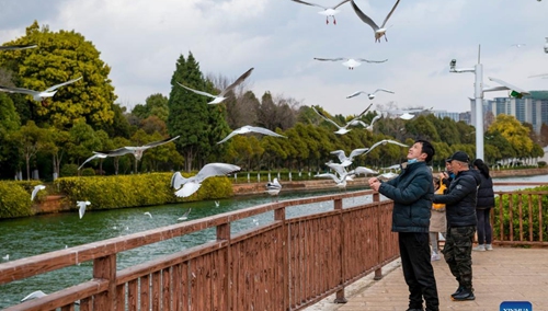 People visit Haihong Wetland Park in Kunming, southwest China's Yunnan Province, Feb. 2, 2022. World Wetlands Day is marked annually on Feb. 2. (Xinhua/Chen Xinbo)