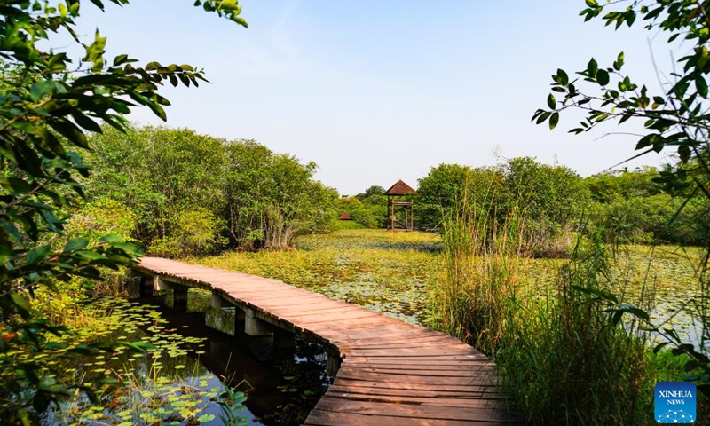 Photo taken on Feb. 2, 2022 shows the view of the Beddagana Wetland Park, on the outskirts of Colombo, Sri Lanka. (Xinhua/Tang Lu)