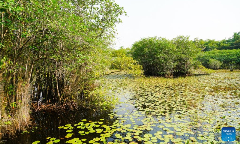 Photo taken on Feb. 2, 2022 shows the view of the Beddagana Wetland Park, on the outskirts of Colombo, Sri Lanka. (Xinhua/Tang Lu)