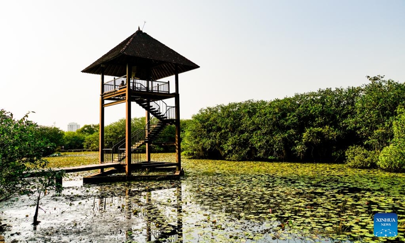 Photo taken on Feb. 2, 2022 shows the view of the Beddagana Wetland Park, on the outskirts of Colombo, Sri Lanka. (Xinhua/Tang Lu)