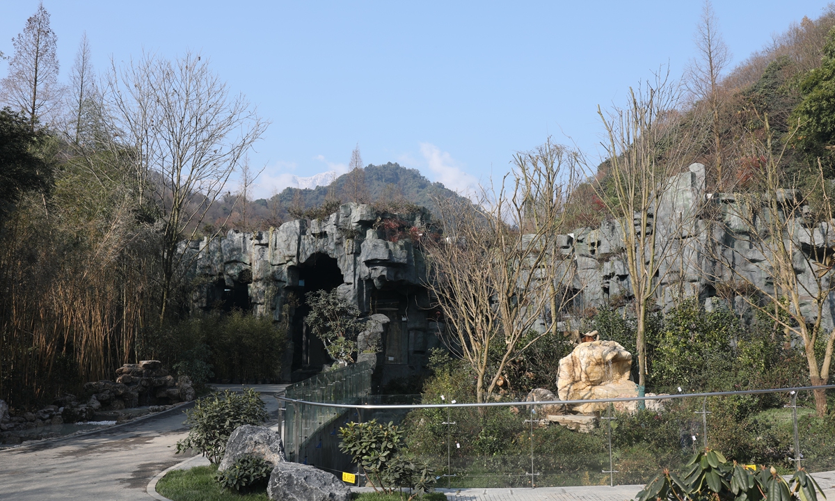 A part of the 8,500-square-meter area Photo: Courtesy of the Chengdu Research Base of Giant Panda Breeding