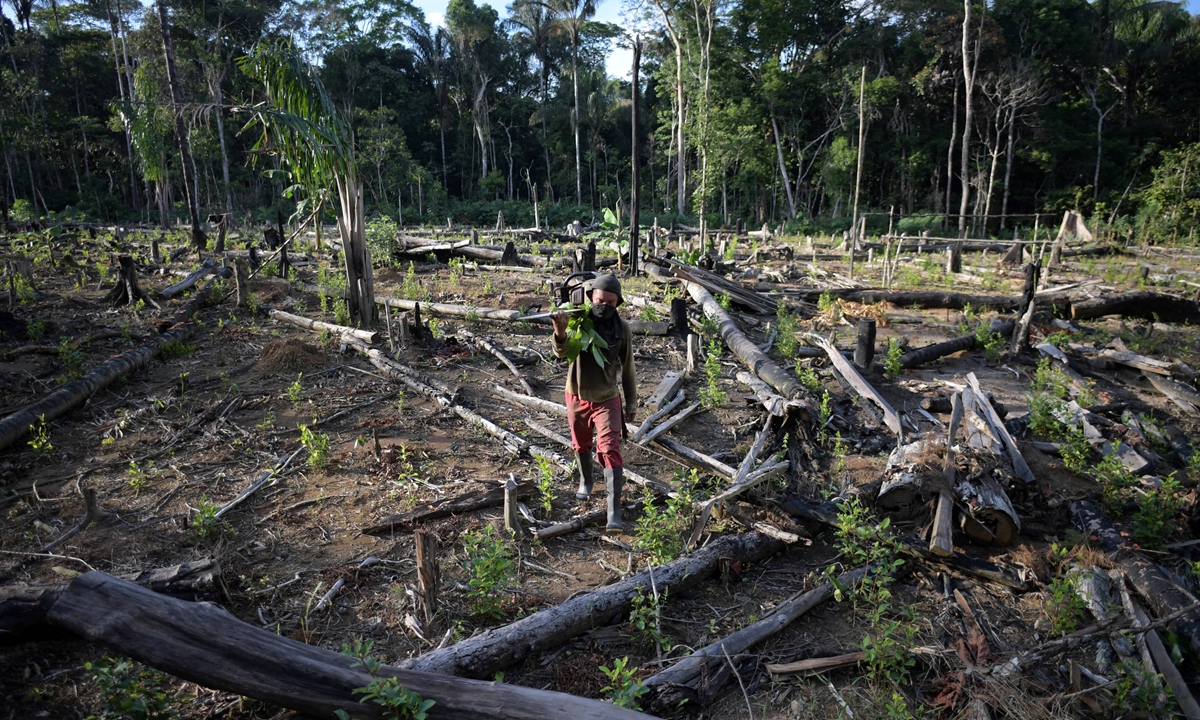 Defending the Amazon Global Times