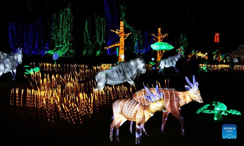 Illuminated sculptures are on display during a light festival at Thoiry zoo near Paris, France, Feb. 13, 2022. The festival runs till March 6, 2022.Photo:Xinhua