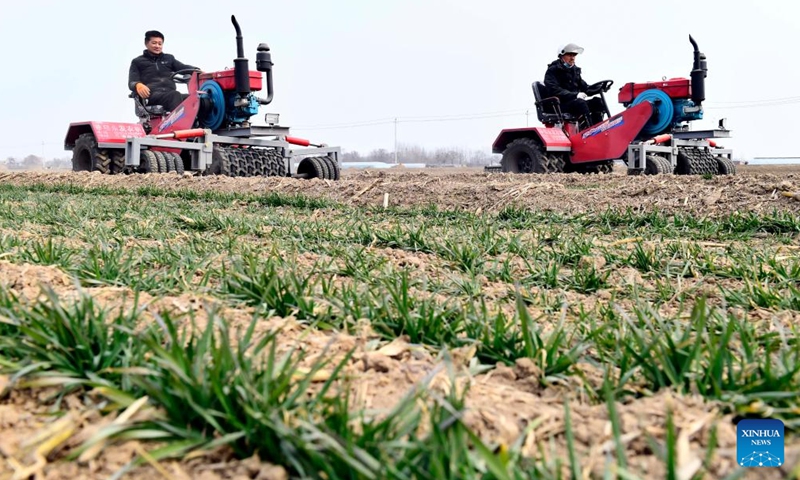 Farmers work at a wheat field in Shenxian County, Liaocheng City, east China's Shandong Province, Feb. 17, 2022.Photo:Xinhua