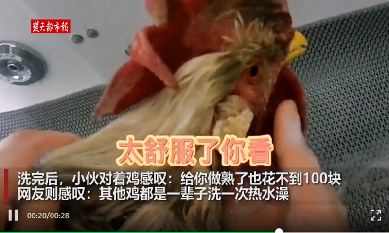 Photo: screenshot from ctdsw.com