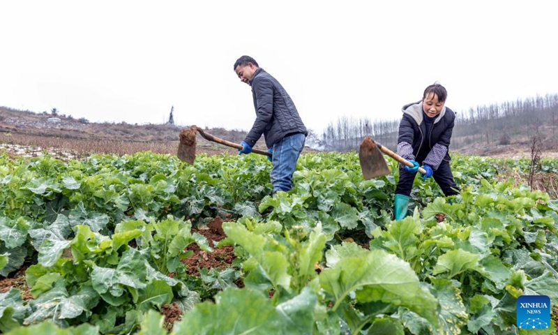 Farmers work in the field in Hexin Village of Qianxi City, southwest China's Guizhou Province, Feb. 19, 2022.Photo:Xinhua