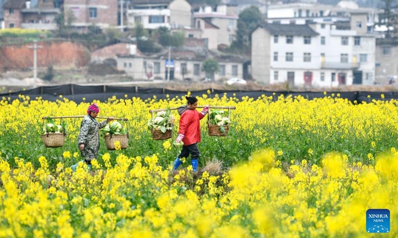 Farmers carry vegetables in the field in Shangpilin Village of Congjiang County, southwest China's Guizhou Province, Feb. 19, 2022.Photo:Xinhua