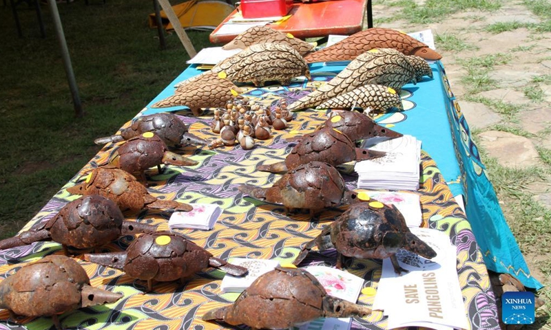 Pangolin replica products are displayed during an event to raise awareness on saving pangolin in Windhoek, Namibia, on Feb. 19, 2022.Photo：Xinhua