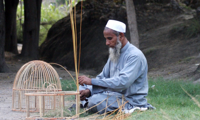 A man makes a birdcage on the outskirts of northwest Pakistan's Peshawar on Feb. 20, 2022.Photo:Xinhua