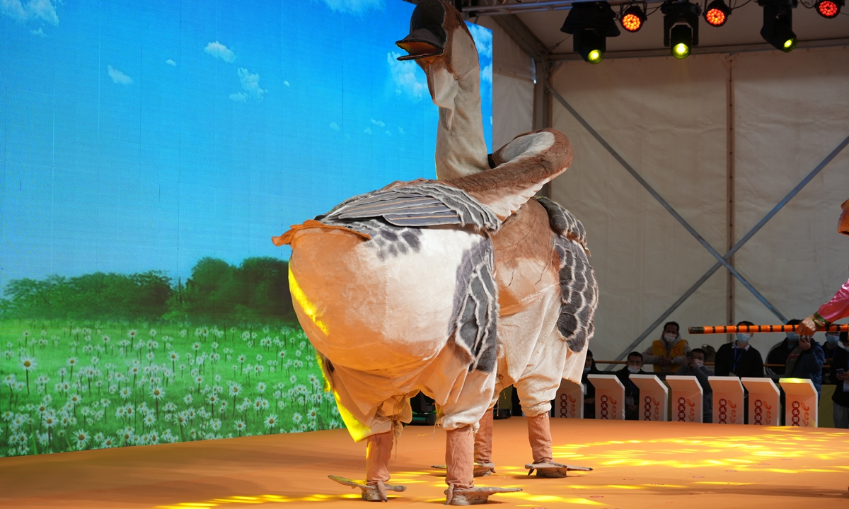 Two performers act as giant geese at the opening ceremony of the 2022 Lion-head Goose Cultural Festival on February 22, 2022.Photo: Deng Zijun/GT