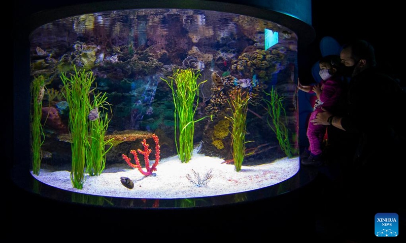 Visitors look at fishes in a water tank at Ripley's Aquarium of Canada in Toronto, Canada, on Feb. 21, 2022. The Ripley's Aquarium of Canada drew many families to celebrate Family Day on Monday.(Photo: Xinhua)