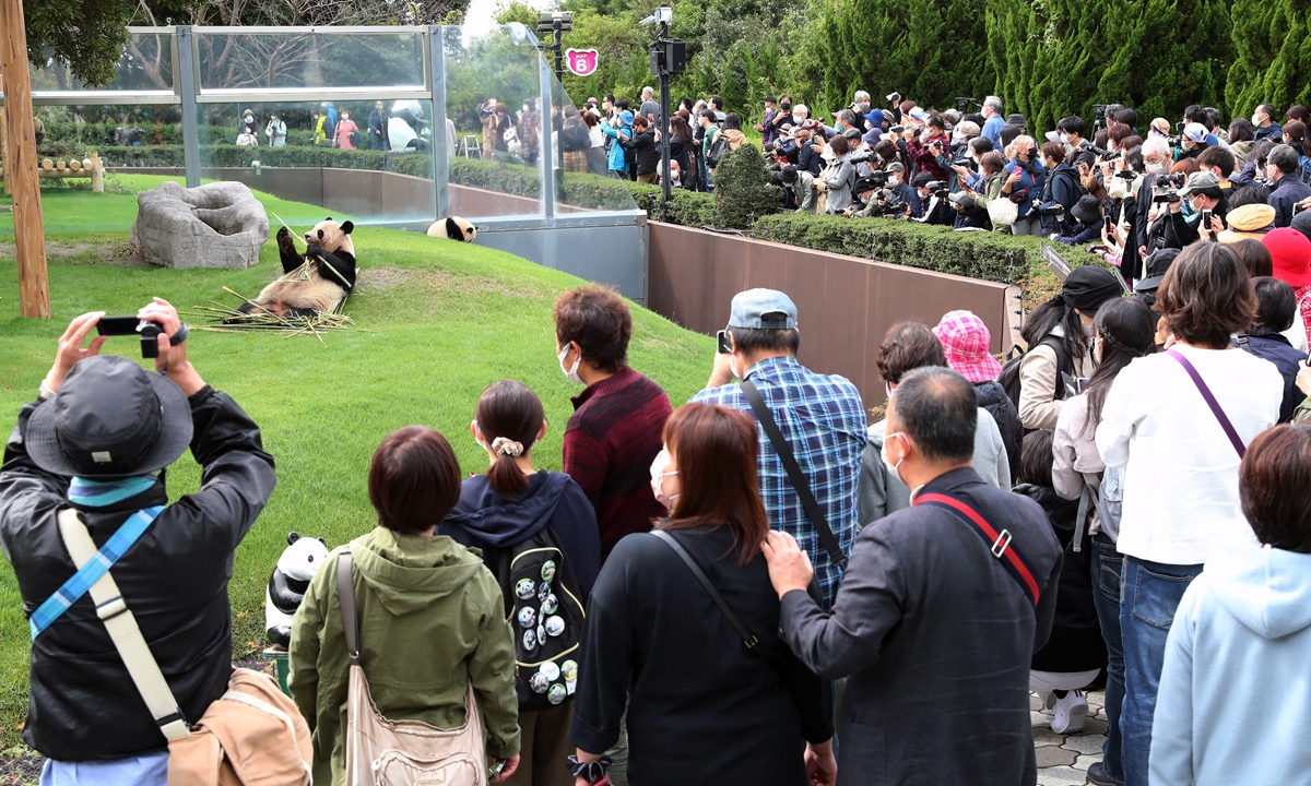 People gather?to watch giant pandas appear at an outdoor enclosure together for the first time after the COVID-19 outbreak at Adventure World in Shirahama Town in Japan on October 21. Photo: AFP