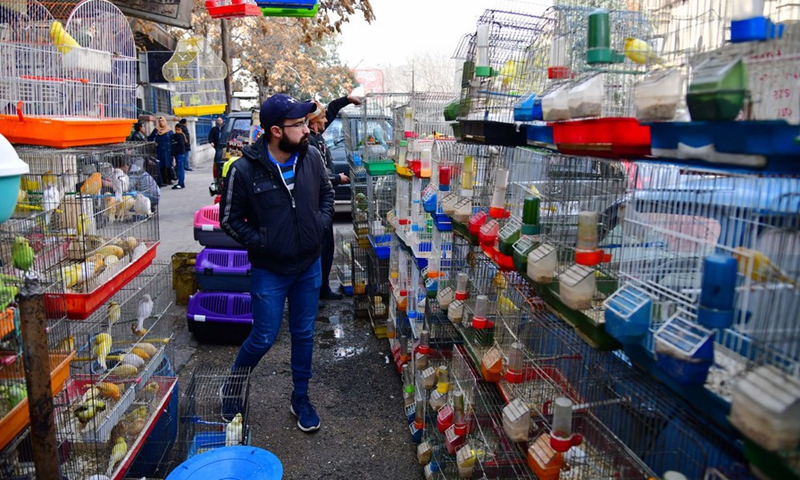 Pet birds are sold at a market in Damascus, Syria, Feb. 22, 2022.(Photo: Xinhua)