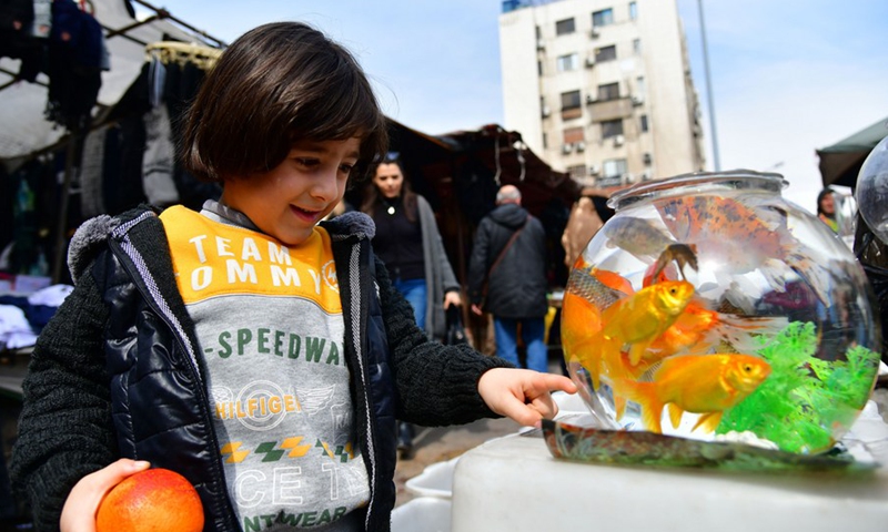 A child looks at goldfish for sale at a market in Damascus, Syria, Feb. 22, 2022.(Photo: Xinhua)