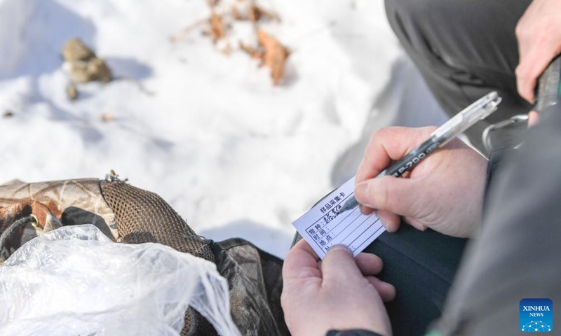 Park rangers adjust a monitor camera in Northeast China Tiger and Leopard National Park in northeast China, Feb 23, 2022.Photo:Xinhua