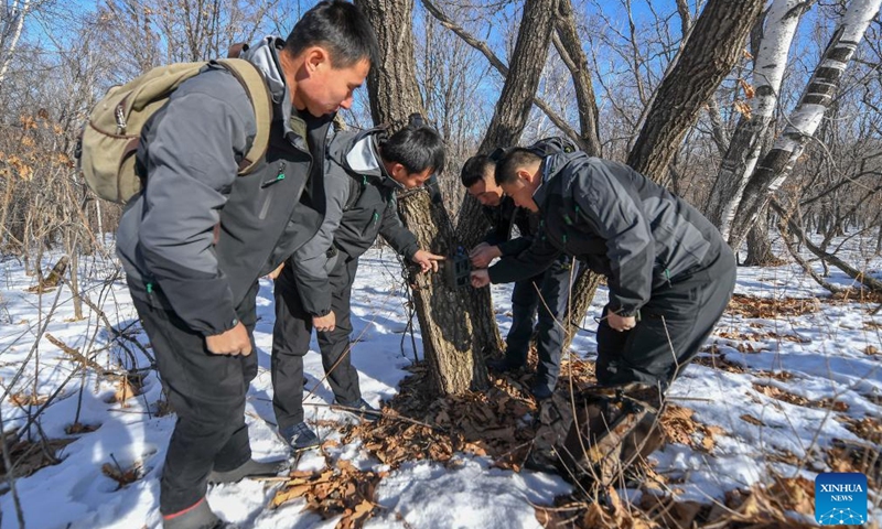 Park rangers adjust a monitor camera in Northeast China Tiger and Leopard National Park in northeast China, Feb 23, 2022.Photo:Xinhua