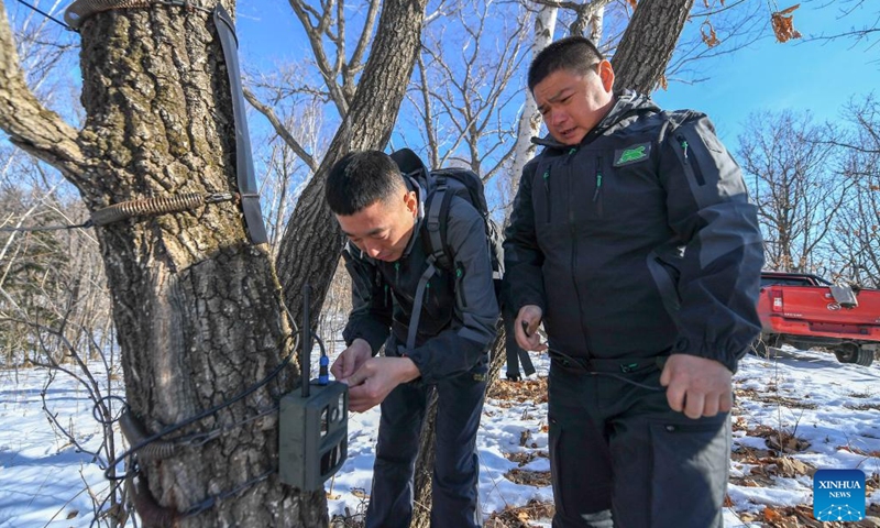 Park rangers adjust a monitor camera in Northeast China Tiger and Leopard National Park in northeast China, Feb 23, 2022.Photo:Xinhua