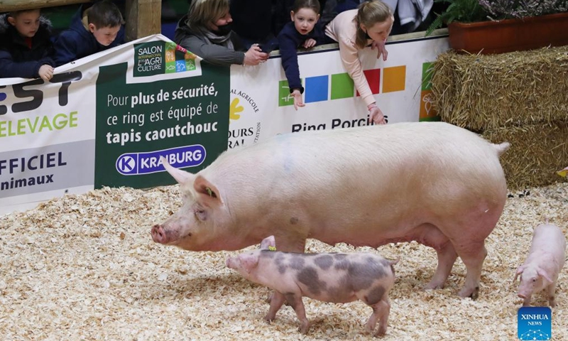 Children interact with pigs during the 58th International Agriculture Fair at the Porte de Versailles exhibition center in Paris, France, Feb. 26, 2022. The fair will last until March 6, 2022.Photo:Xinhua