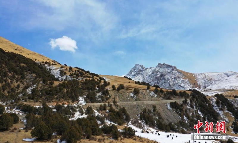 Photo shows snow covered Sanjiangyuan National Park in Yushu, Tibetan autonomous prefecture of Northwest China's Qinghai Province, Feb. 27, 2022. Sanjiangyuan, meaning the source of three rivers, is home to the headwaters of the Yangtze, Yellow and Lancang rivers. (Photo: China News Service/Ma Mingyan)