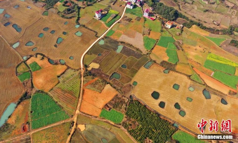 Aerial view shows the fields ready for spring ploughing in Taihe county, Ji'an, Jiangxi Province, Feb. 25, 2022. The ploughed fields look like fingerprints of the Earth. (Photo: China News Service/Deng Heping)