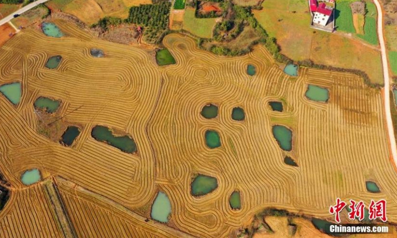 Aerial view shows the fields ready for spring ploughing in Taihe county, Ji'an, Jiangxi Province, Feb. 25, 2022. The ploughed fields look like fingerprints of the Earth. (Photo: China News Service/Deng Heping)