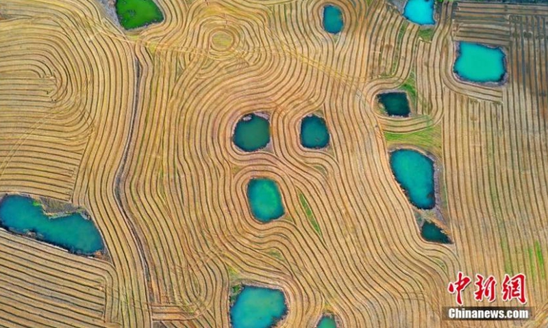 Aerial view shows the fields ready for spring ploughing in Taihe county, Ji'an, Jiangxi Province, Feb. 25, 2022. The ploughed fields look like fingerprints of the Earth. (Photo: China News Service/Deng Heping)