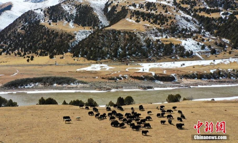 Photo shows snow covered Sanjiangyuan National Park in Yushu, Tibetan autonomous prefecture of Northwest China's Qinghai Province, Feb. 27, 2022. Sanjiangyuan, meaning the source of three rivers, is home to the headwaters of the Yangtze, Yellow and Lancang rivers. (Photo: China News Service/Ma Mingyan)