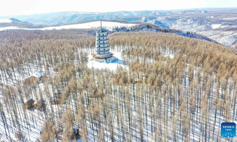 Aerial photo taken on March 1, 2022 shows the snow view in Saihanba National Forest Park in Chengde, north China's Hebei Province.(Photo: Xinhua)