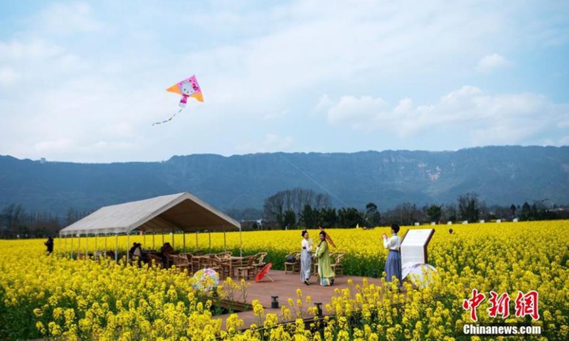 2022年3月1日，中国西南部四川省洪雅，汉服爱好者在油菜花田放风筝。图片来源：中新社
