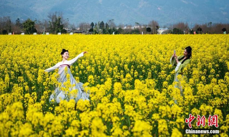 Photo shows Hanfu lovers flying kite in a field of rapeseed flowers in Hongya, southwest China's Sichuan Province, Mar. 1, 2022.Photo:China News Service