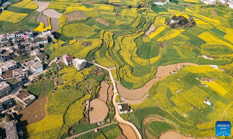 Aerial photo taken on March 3, 2022 shows the scenery of cole flowers in Mugang Township of Liupanshui City, southwest China's Guizhou Province.Photo:Xinhua