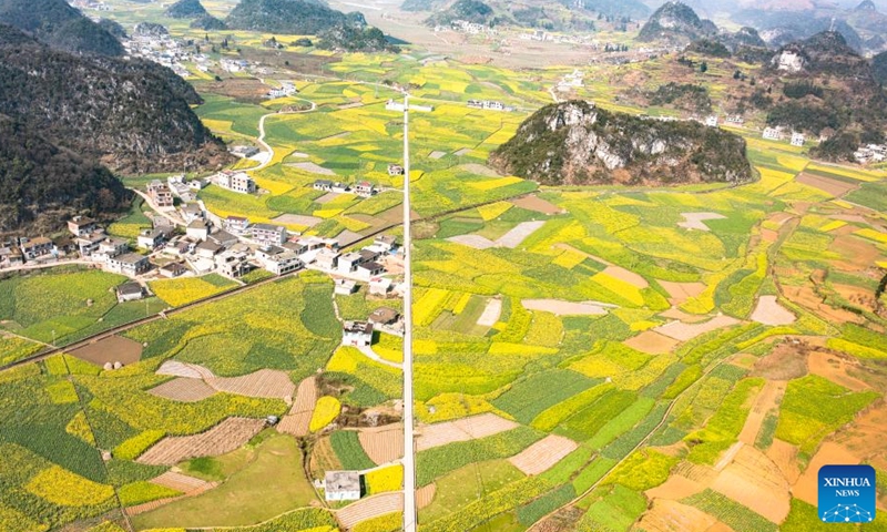 Aerial photo taken on March 3, 2022 shows the scenery of cole flowers in Mugang Township of Liupanshui City, southwest China's Guizhou Province.Photo:Xinhua
