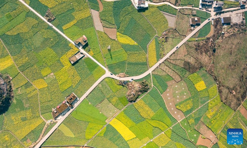 Aerial photo taken on March 3, 2022 shows the scenery of cole flowers in Mugang Township of Liupanshui City, southwest China's Guizhou Province.Photo:Xinhua