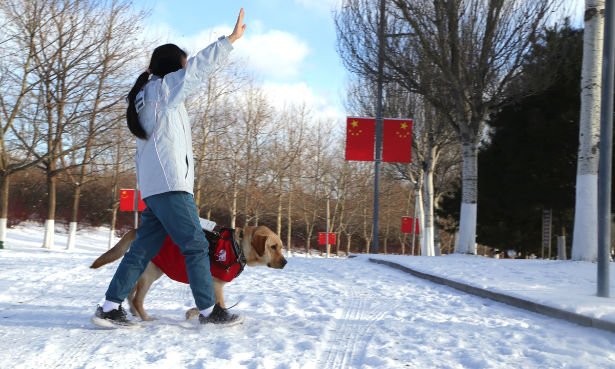 Photo: China Guide Dog Dalian Training Base